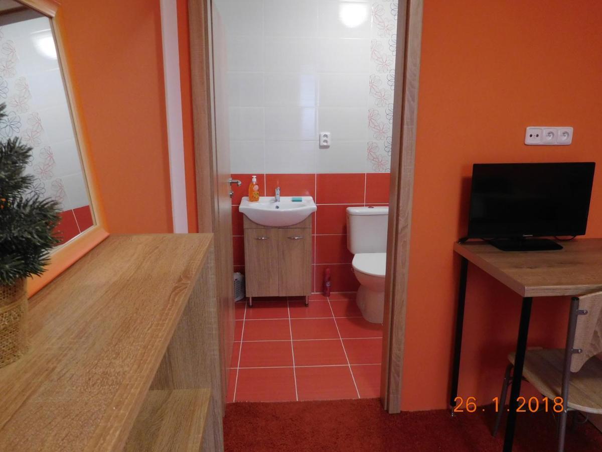 Ubytovani V Soukromi Na Podluzi Josefov 部屋 写真
